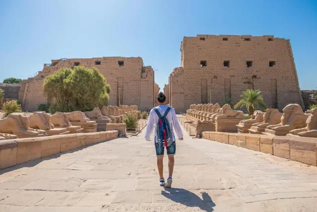 Luxor Complete Discovery: East & West Bank Ancient Wonders Full Day Adventure
